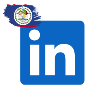 Buy Linkedin Followers in Belize