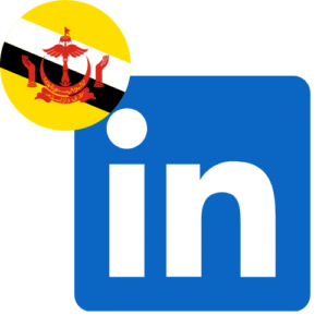 Buy Linkedin Followers in Brunei