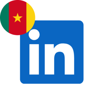 Buy Linkedin Followers in Cameroon
