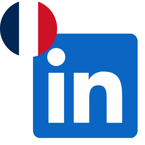 Buy Linkedin Followers in France