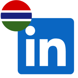 Buy Linkedin Followers in Gambia